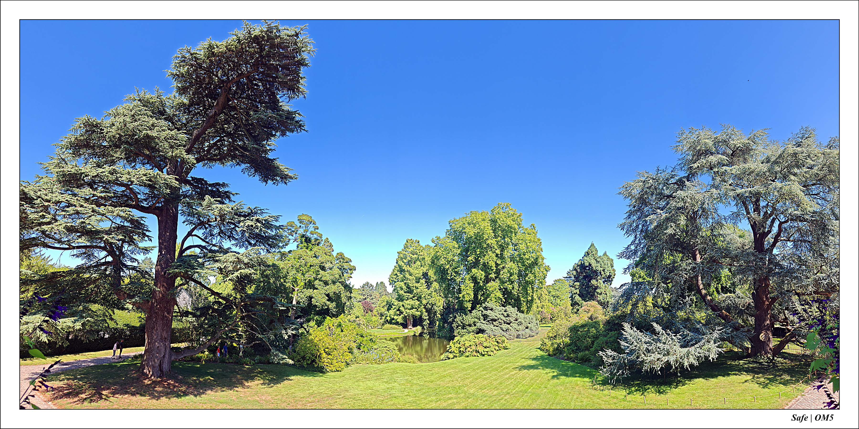 2025 - 08 - Vallée des loups - 36